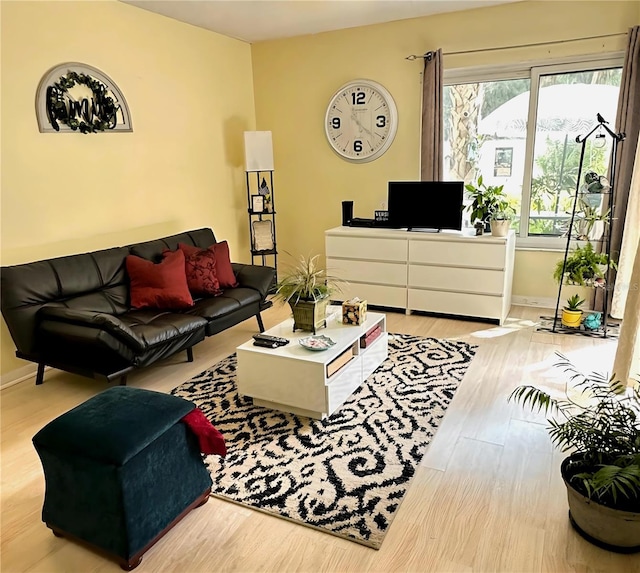 living room with baseboards and wood finished floors