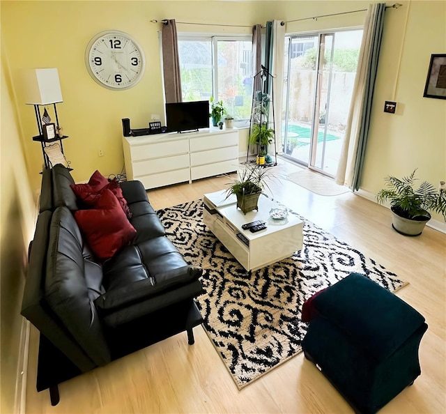 living area with wood finished floors