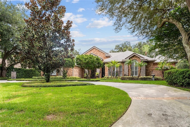 view of front of property with brick siding, curved driveway, a tiled roof, and a front yard