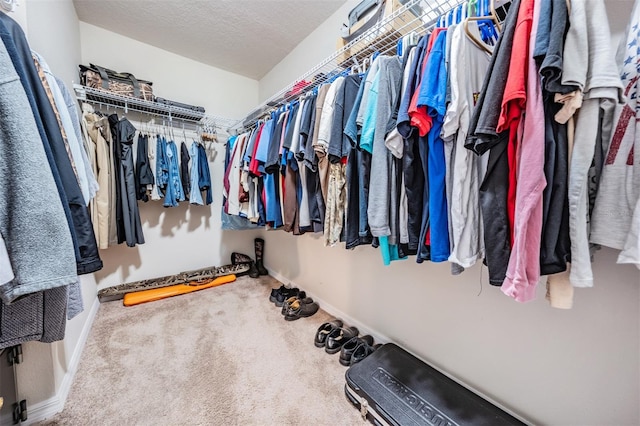 walk in closet with carpet floors