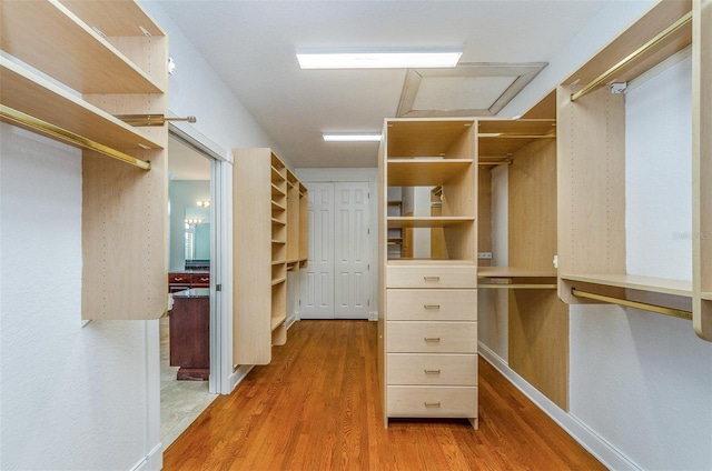 spacious closet with wood finished floors