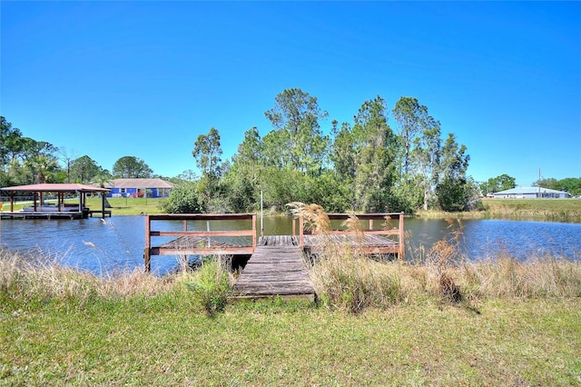 dock area with a water view