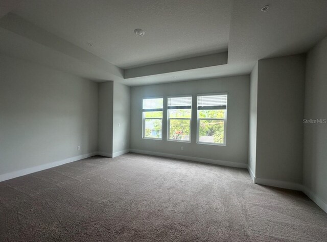 carpeted spare room featuring baseboards and a raised ceiling