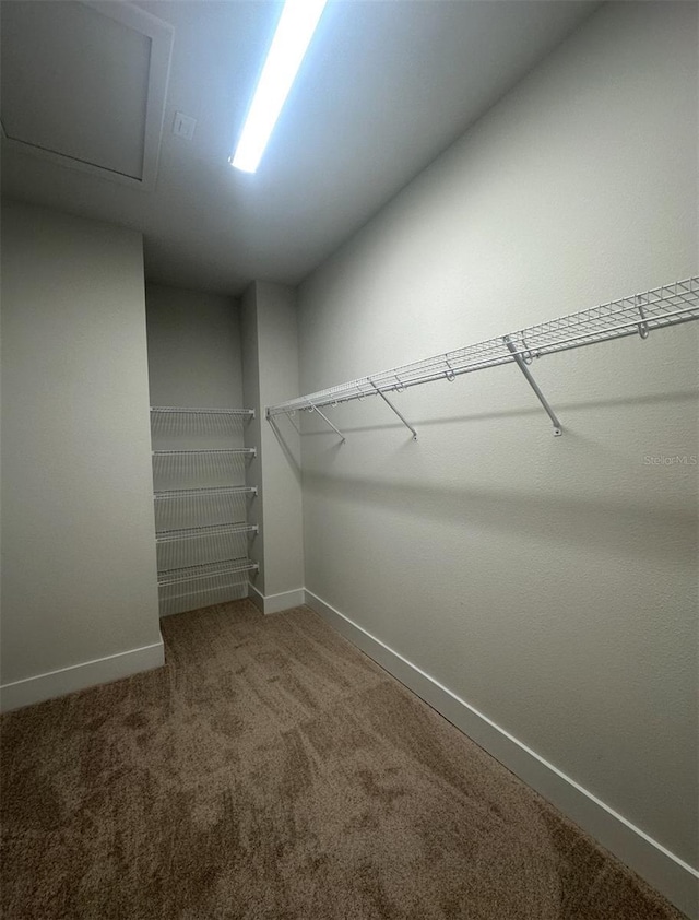 walk in closet with carpet