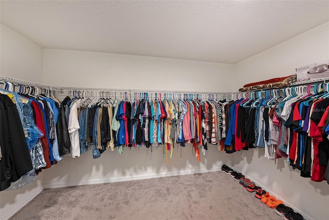 walk in closet featuring carpet floors