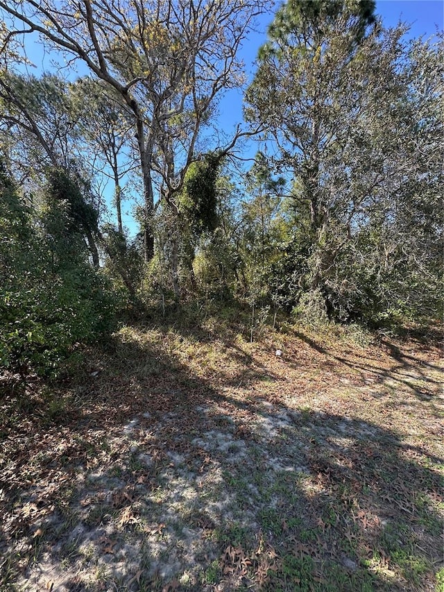 3069 Amherst Ave, Spring Hill FL, 34609 land for sale