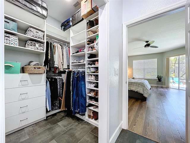 spacious closet featuring visible vents, dark wood-type flooring, and a ceiling fan