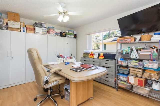 office space featuring light wood-type flooring and a ceiling fan