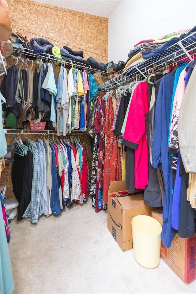 spacious closet featuring carpet