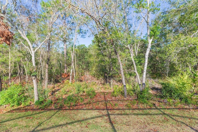 view of yard with a wooded view