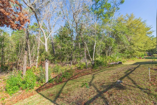 view of yard with a forest view