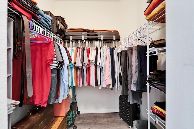 spacious closet featuring wood finished floors