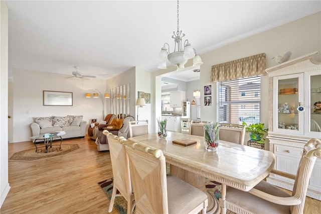 dining room with ceiling fan with notable chandelier and light wood finished floors