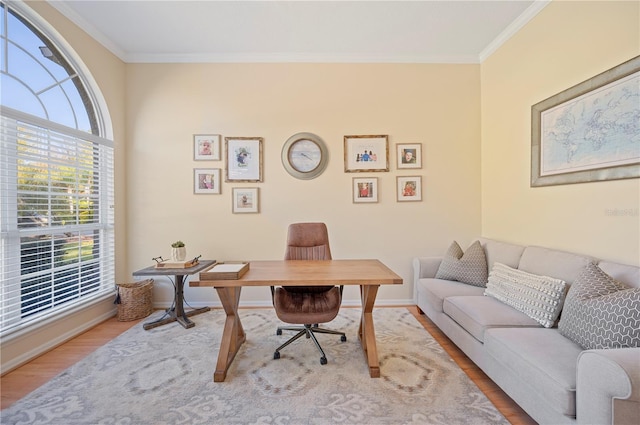 office space featuring crown molding, wood finished floors, and baseboards