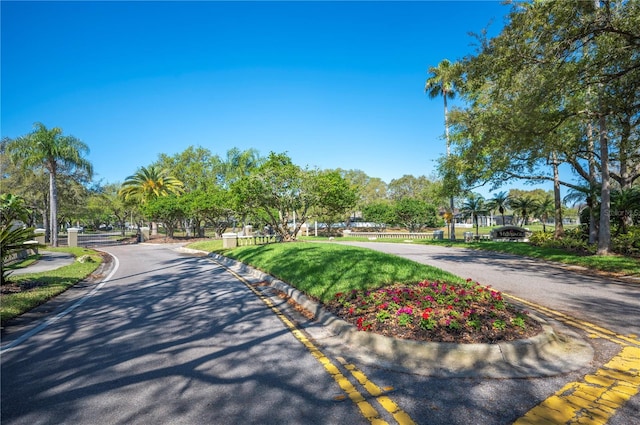 view of road featuring curbs