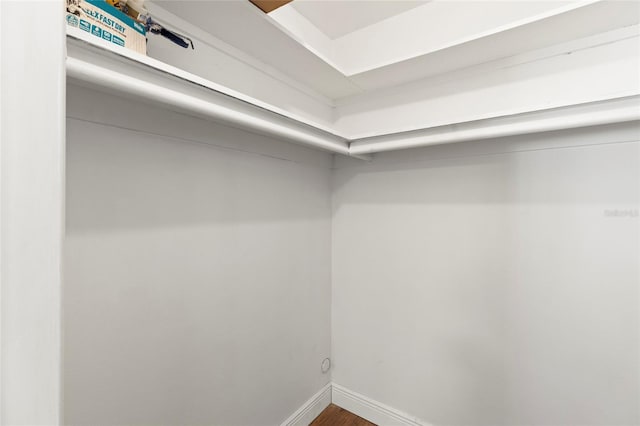 walk in closet featuring wood finished floors