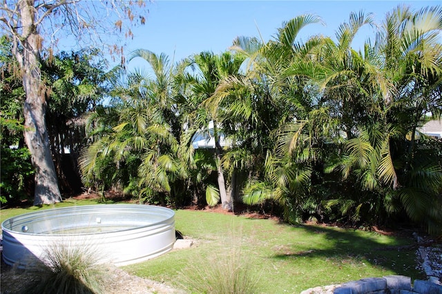 view of yard featuring an outdoor hot tub