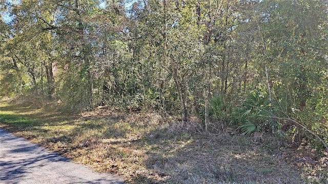 4 Hawthorne Ct, Homosassa FL, 34446 land for sale