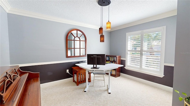 carpeted office with ornamental molding, baseboards, and a textured ceiling