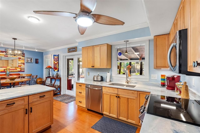 kitchen featuring light wood finished floors, a sink, appliances with stainless steel finishes, pendant lighting, and crown molding