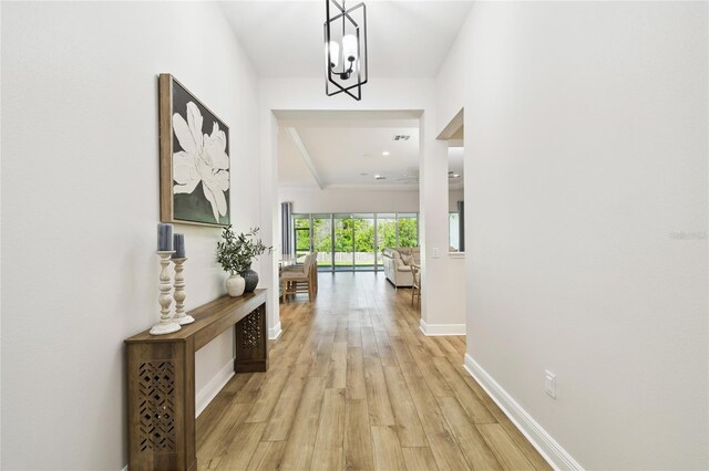8766 Shadyside Ln, Land O Lakes, FL 34637 - hallway with light wood-style flooring, baseboards, and a chandelier