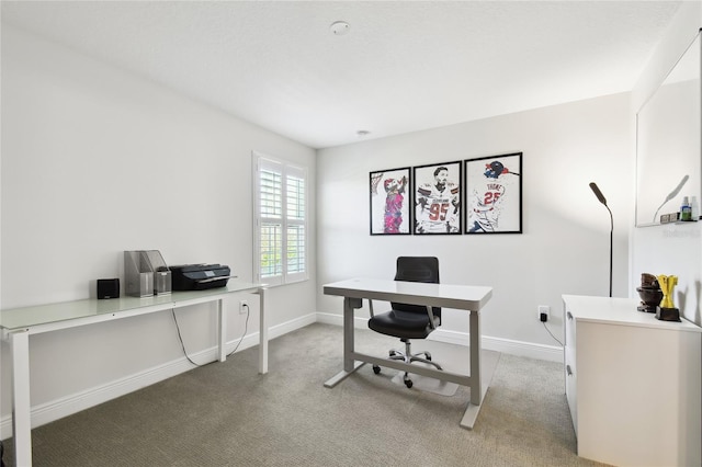 8766 Shadyside Ln, Land O Lakes, FL 34637 - office area featuring light colored carpet and baseboards