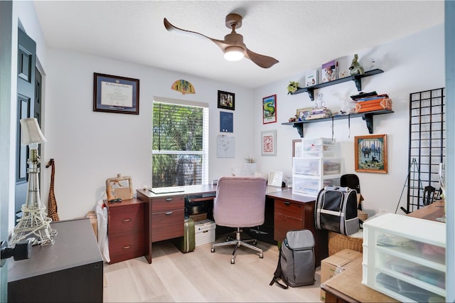 office space featuring a ceiling fan, light wood-style floors, and a textured ceiling