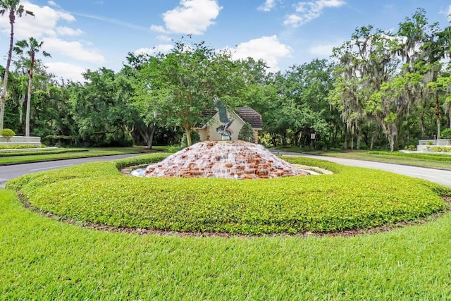 view of community featuring a yard