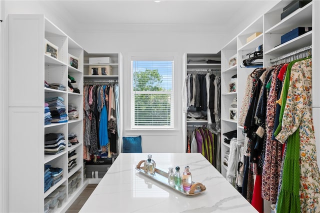 walk in closet with dark wood finished floors