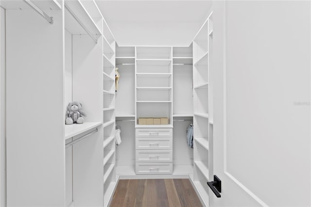 spacious closet featuring dark wood-style flooring