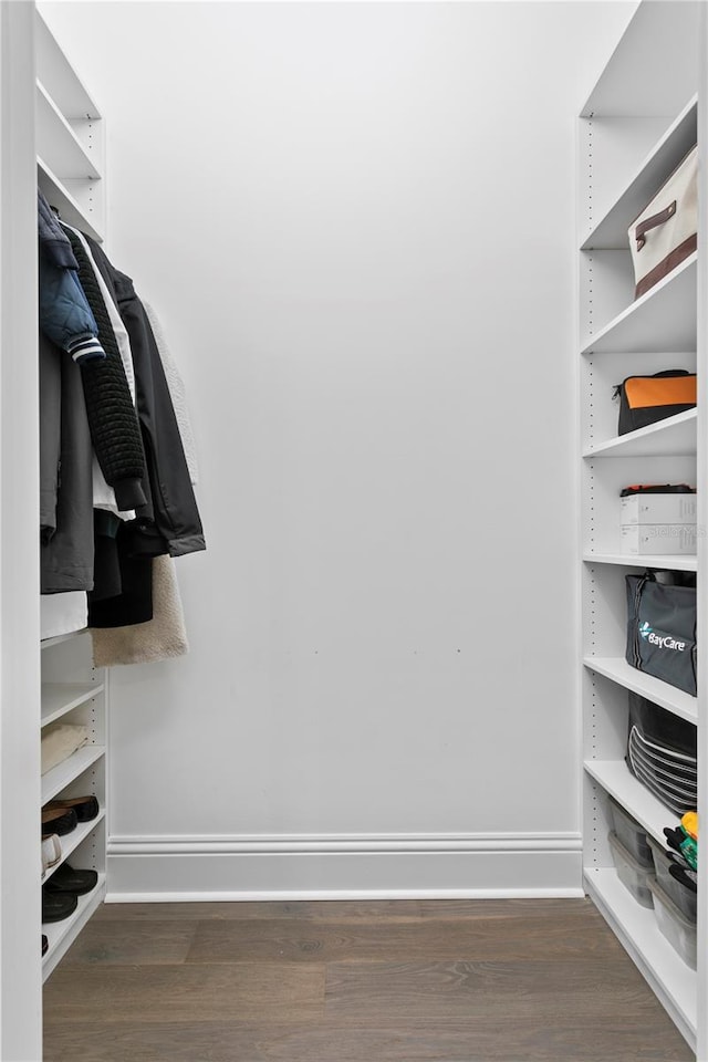 spacious closet featuring wood finished floors