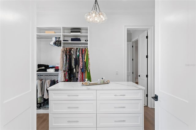 4614 W Lowell Ave, Tampa, FL 33629 - view of closet