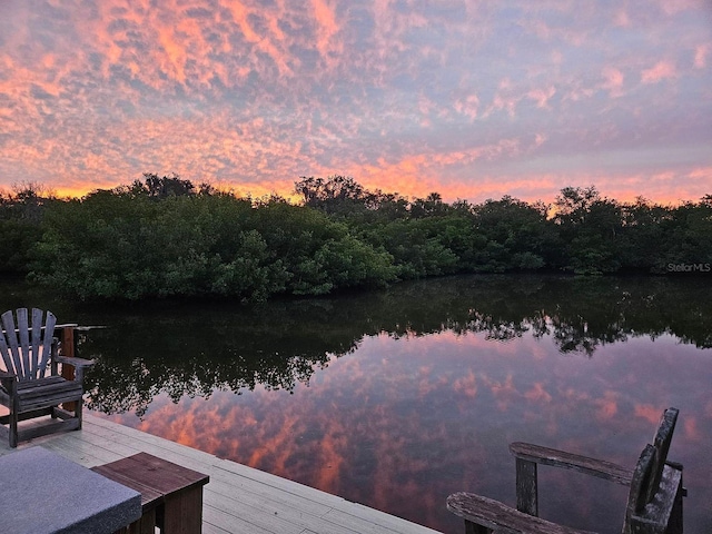 view of dock featuring a water view