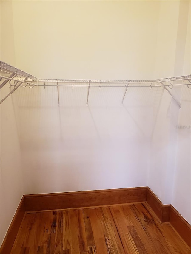 spacious closet featuring wood finished floors