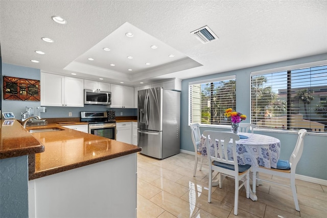 kitchen featuring white cabinets, stainless steel appliances, a tray ceiling, and a sink