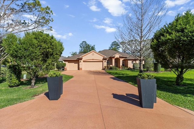 ranch-style house with stucco siding, an attached garage, concrete driveway, and a front yard