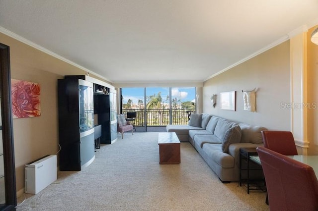 5700 Escondida Blvd S Unit 506, Saint Petersburg, FL 33715 - carpeted living area featuring ornamental molding