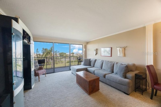 5700 Escondida Blvd S Unit 506, Saint Petersburg, FL 33715 - living area with crown molding and carpet