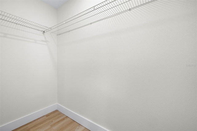 spacious closet featuring light wood-style floors