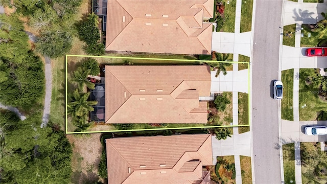 drone / aerial view