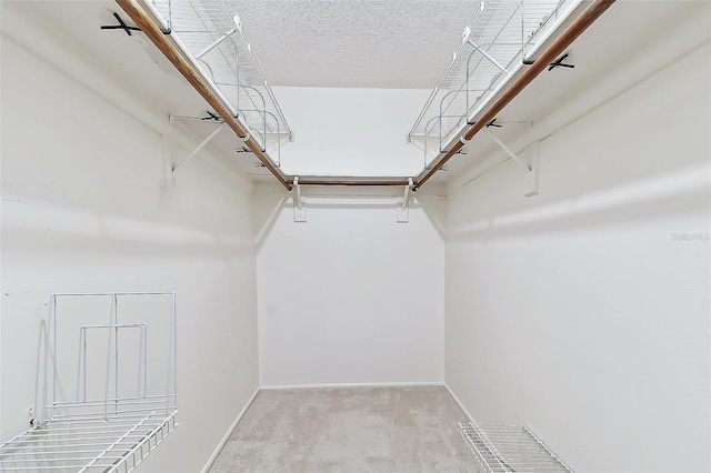 walk in closet with carpet flooring