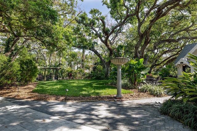 view of community featuring a lawn