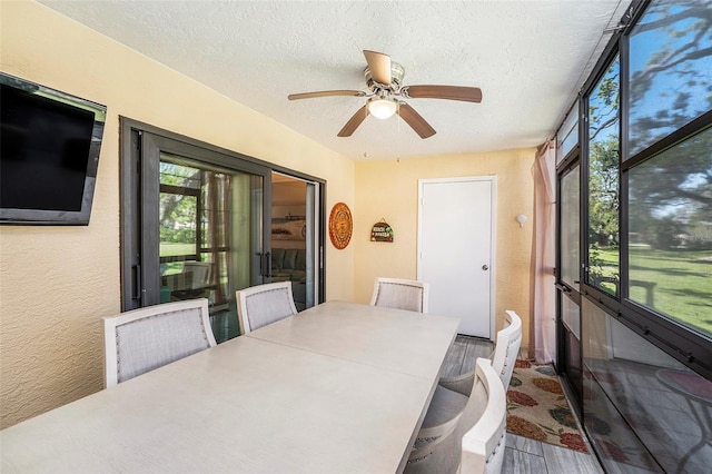 sunroom / solarium featuring ceiling fan