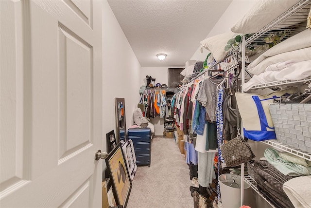 walk in closet with carpet floors