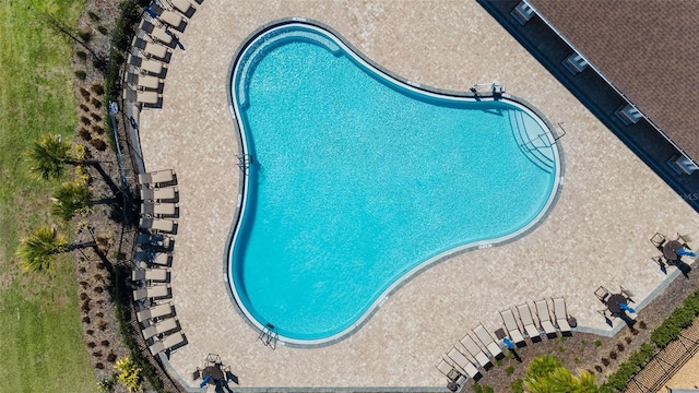 view of swimming pool