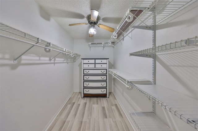 walk in closet featuring a ceiling fan and light wood-style floors