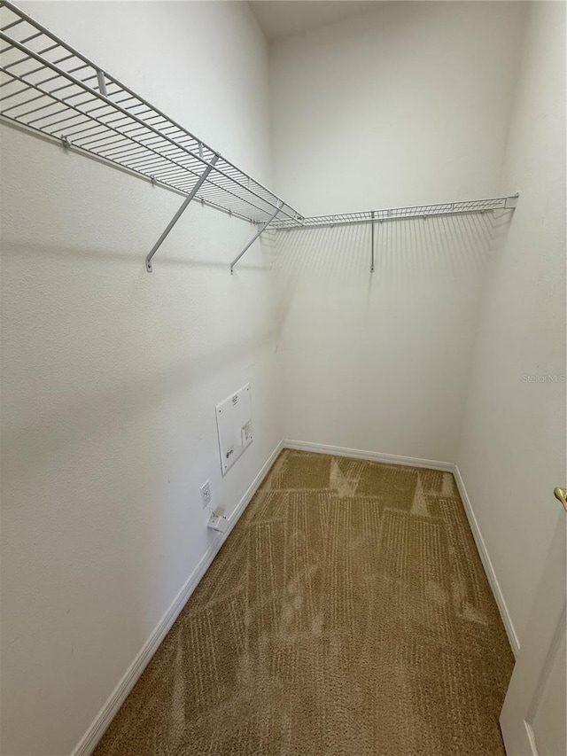 spacious closet featuring carpet floors