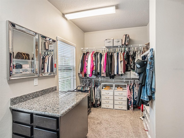 spacious closet featuring carpet flooring