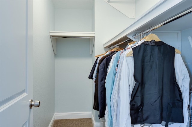 walk in closet featuring carpet flooring