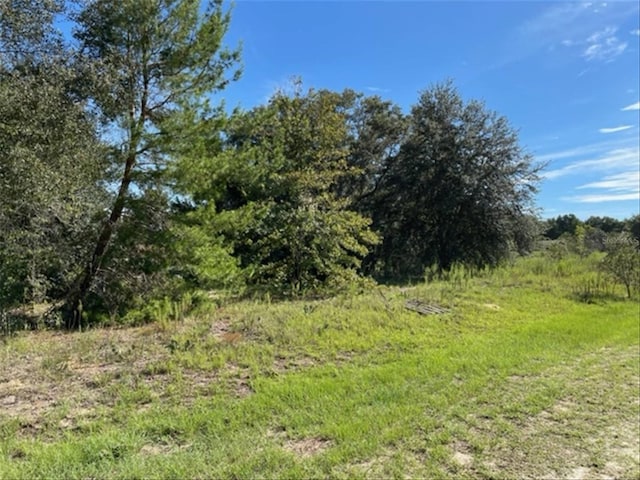 SW 104th St, Dunnellon FL, 34432 land for sale